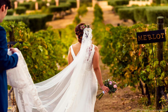 Wedding photography vineyard and winery